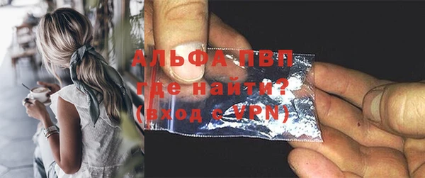 шишки Гусь-Хрустальный