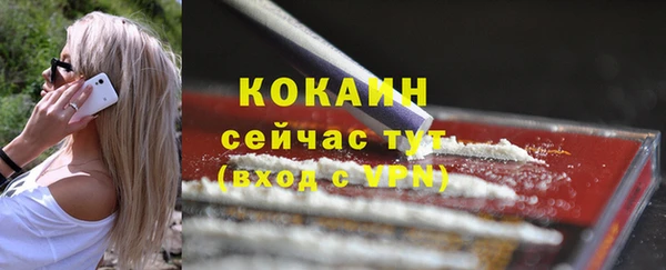 шишки Гусь-Хрустальный