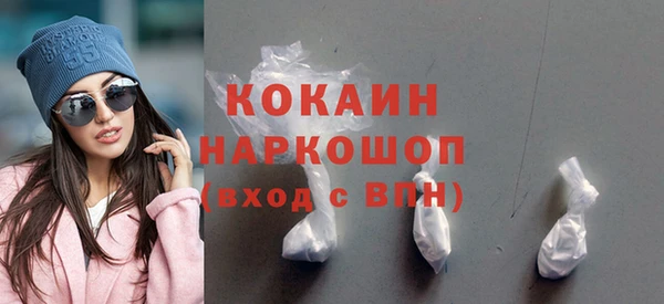 шишки Гусь-Хрустальный