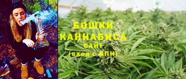 шишки Гусь-Хрустальный