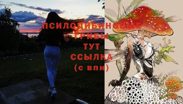 PSILOCYBIN Гусев
