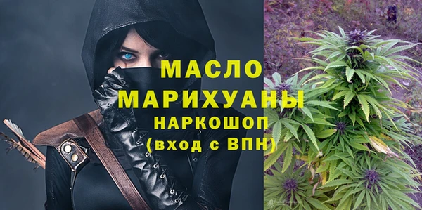 шишки Гусь-Хрустальный