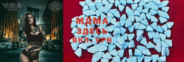 PSILOCYBIN Гусев