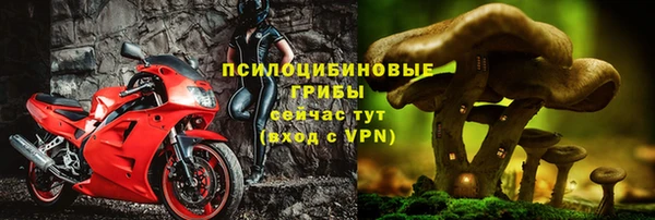 apvp Дмитриев