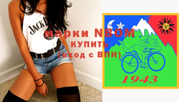 шишки Гусь-Хрустальный