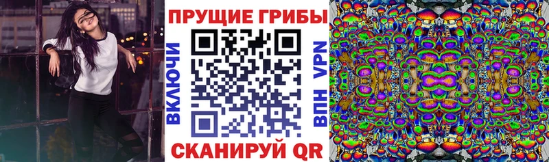Галлюциногенные грибы прущие грибы  Ефремов 